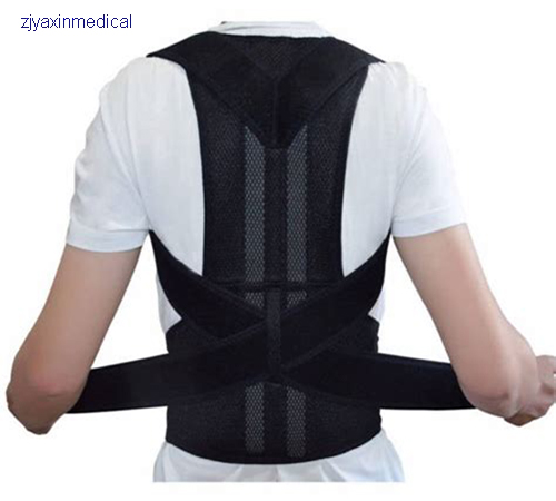 Healthcare Orthopedic Back Support